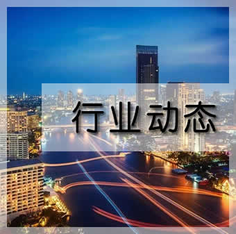 專業運動木地板